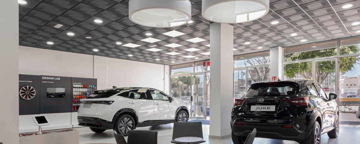 Dos coches desde una vista trasera en el concesionario de Autos Nicsan en Telde